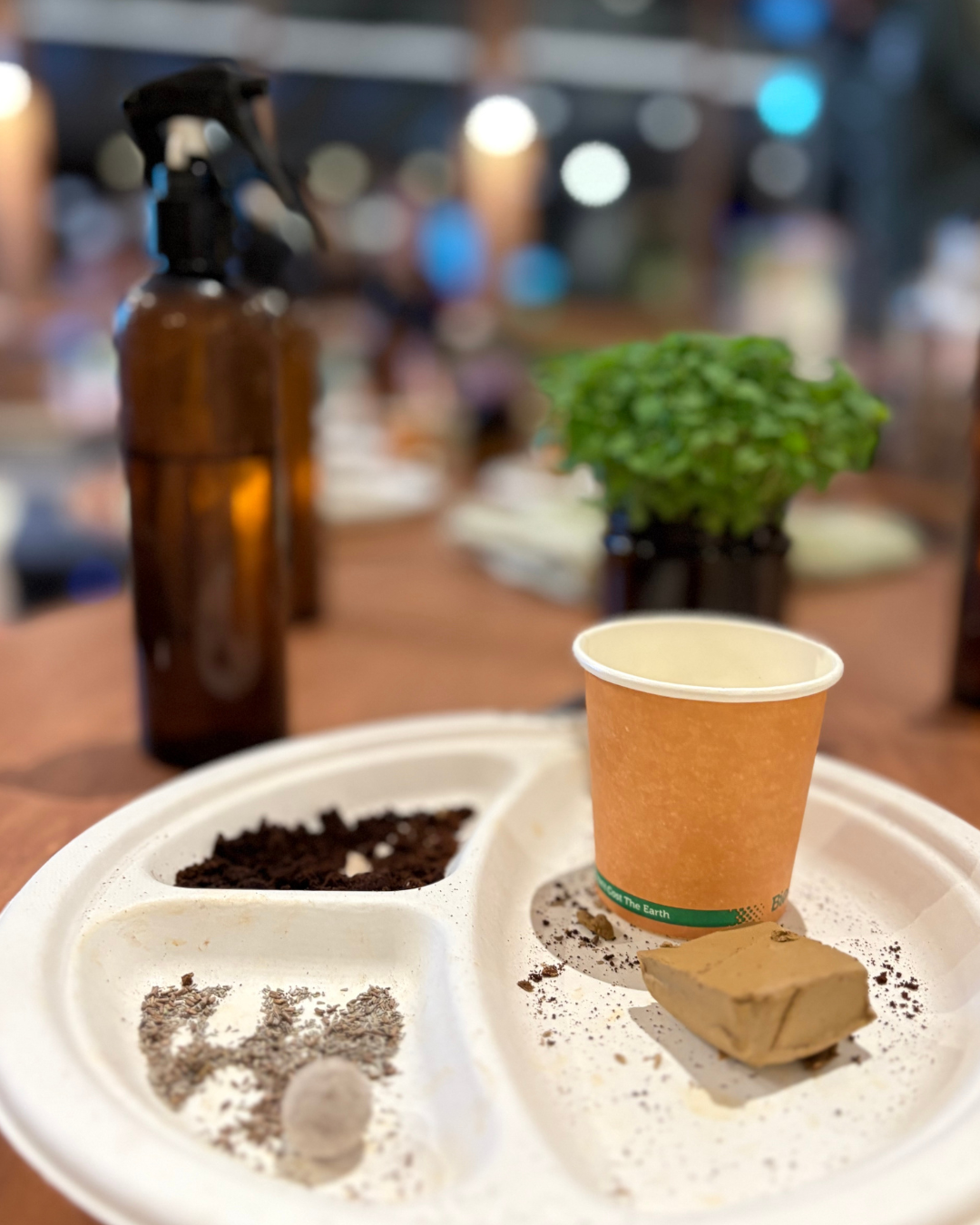 Close-up of seed bomb ingredients ready for students