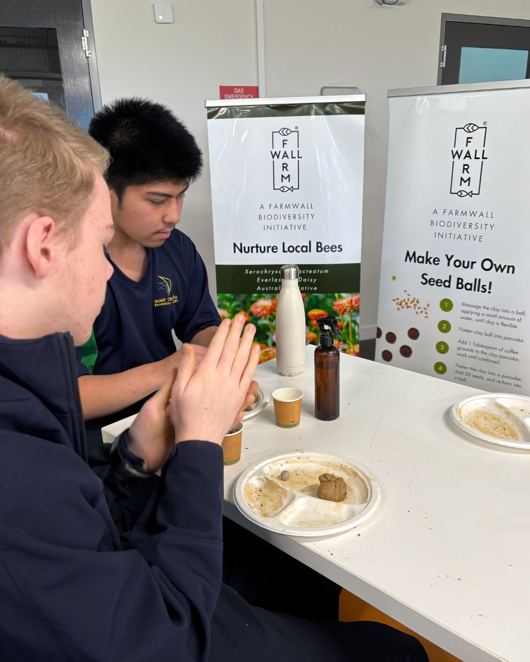 Students making seed balls beside Farmwall biodiversity posters