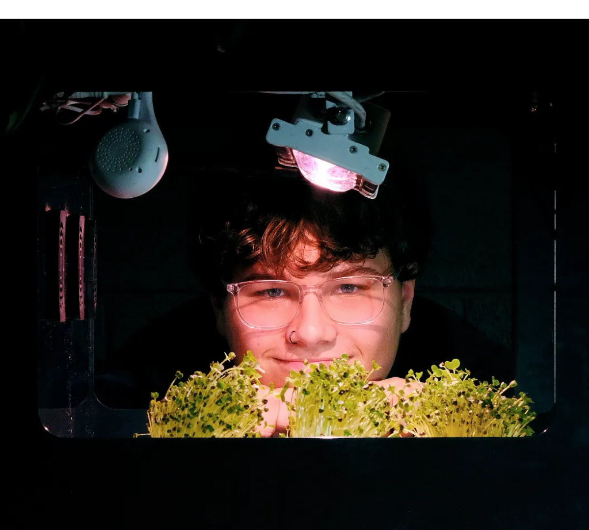 Student observing microgreens under a grow light