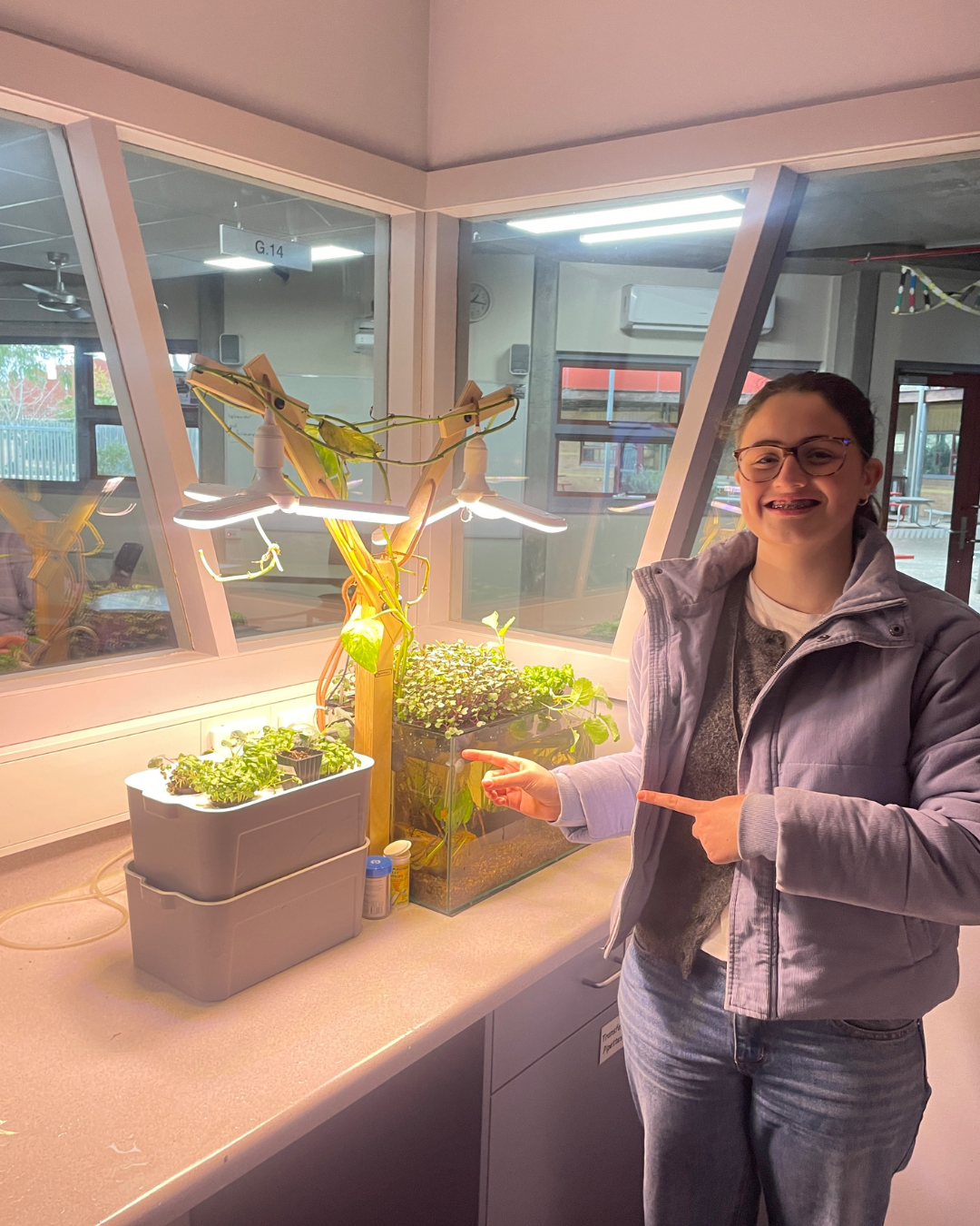 A student presenting a classroom aquaponics and growing setup
